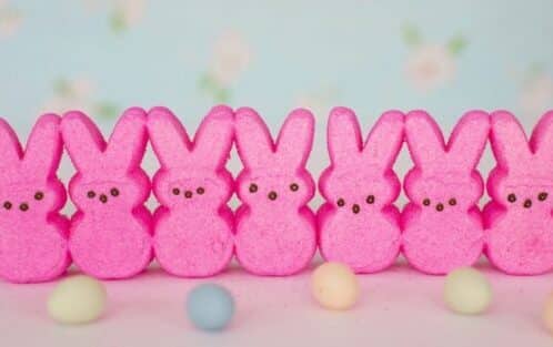 Easter Marshmallow Peeps covered in hot pink sugar